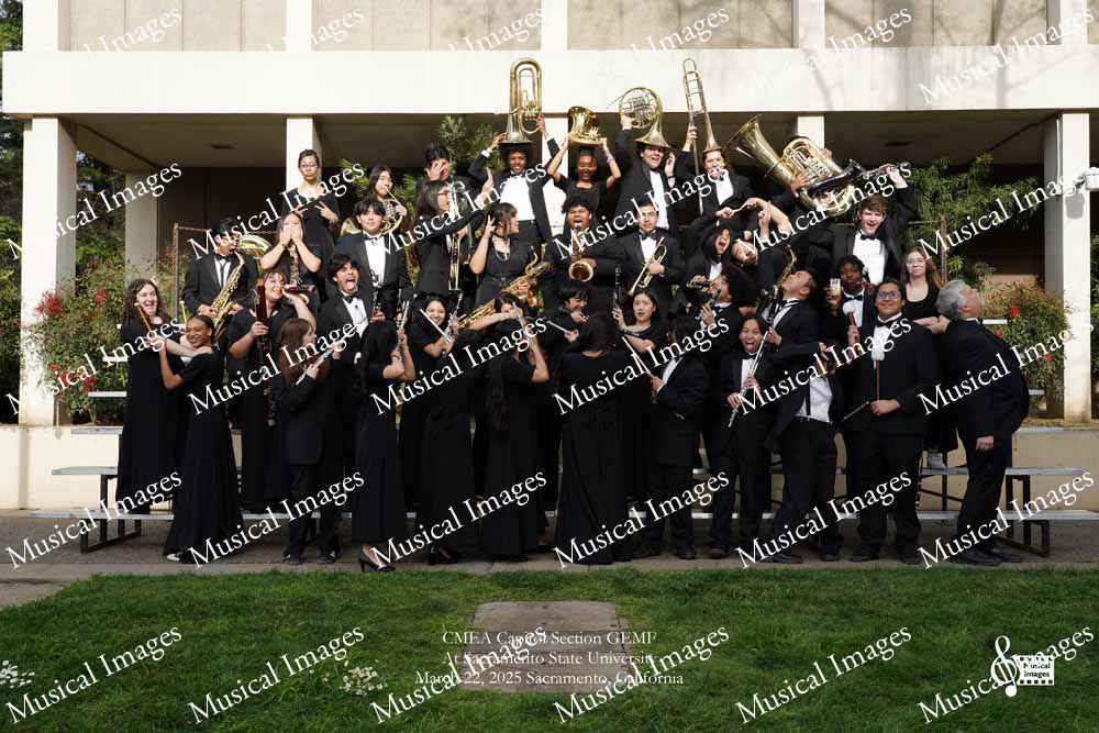 Musical Images